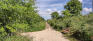 Assiniboine Forest Trails - Harte Trail at Cathcart