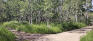 Assiniboine Forest Trails - Preston Trail at Traverse Trail