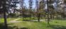 Scurfield Park - Hilltop - Pathways