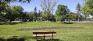 Andrew Currie Park - South Edge