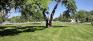 Andrew Currie Park - West Edge
