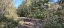 Assiniboine Marsh Docks - Wetland Trail at Oak Ridge Trail