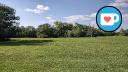 Open Area and West Treeline