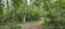 Crescent Drive Park - Trails