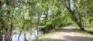 Crescent Drive Park - Trails