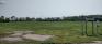 King's Park - Off-Leash Dog Area - NW Corner