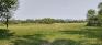 King's Park - Off-Leash Dog Area - SW Corner