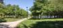 Muys Park West - West Corner