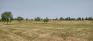 Soccer Field