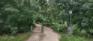 Bergen Cutoff Park - Northwest Entrance