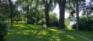 Fraser's Grove Park - Trails - East Edge