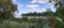 Donald Riverbank - South Clearing - View of Red River