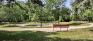 Fisher Park - Central Garden