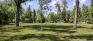 Fisher Park - South Open Area