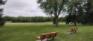 North Athletic Field - West Edge