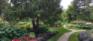 North Garden - Pathways