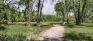 Elzéar Goulet Park - Pathways - Facing North