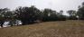 St. Charles Grove - Open Area - Fall 2021