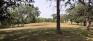 St. Charles Grove - Open Area