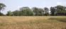 St. Charles Grove - Open Area