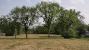 St. Charles Grove - Open Area