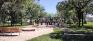 Reynolds Park - Playground