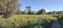 Henteleff Park - Trails - Northwest Fields