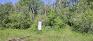 Dakota Park - Forest Trail - SW of Community Centre